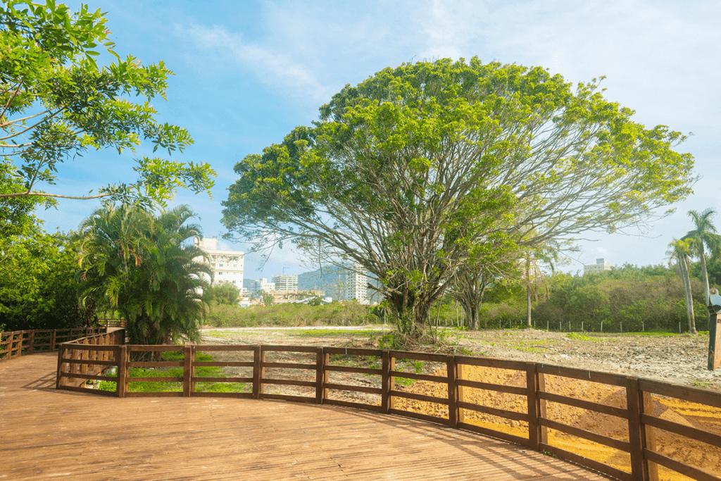 Parque Lagoa do Perequê: Porto Belo e Suas Oportunidades Imbatíveis 2 parque lagoa do pereque2